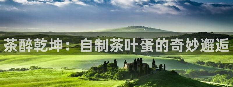 摩登7平台382223