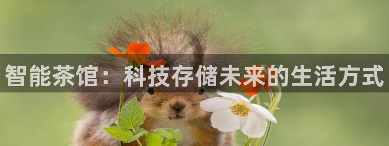 摩登5张7O667