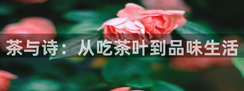 摩登5冯7O667