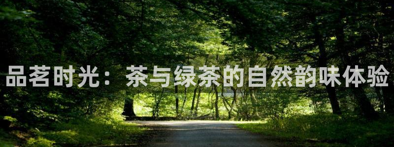 摩登7招商主管
