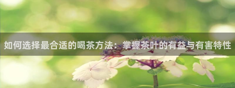 摩登7月7O667