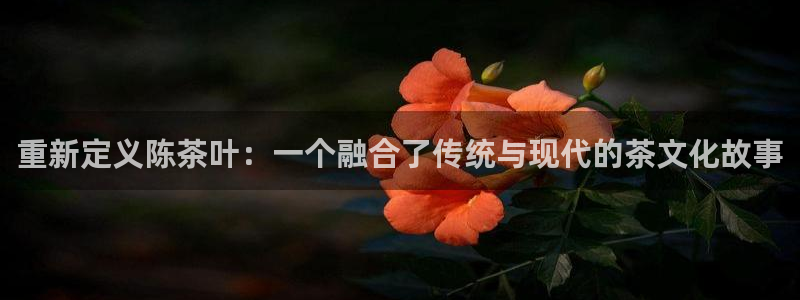 摩登7平台网址