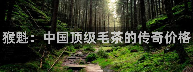 摩登7主管