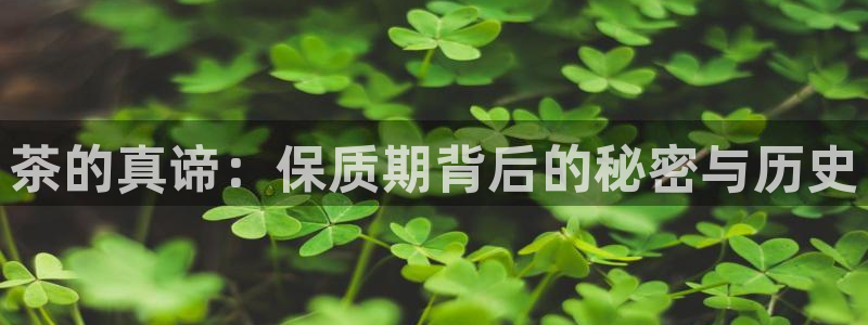 摩登天空7