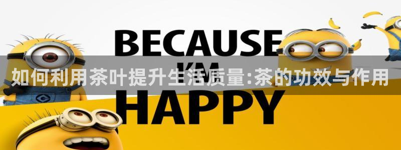 摩登7天7O667