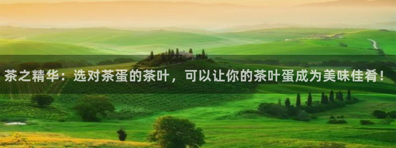 摩登4左7O667