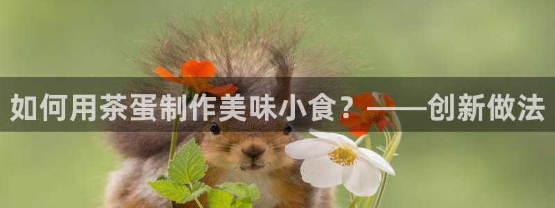 摩登7经3299O7