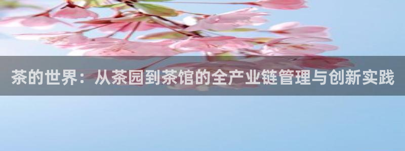 摩登7地7O667