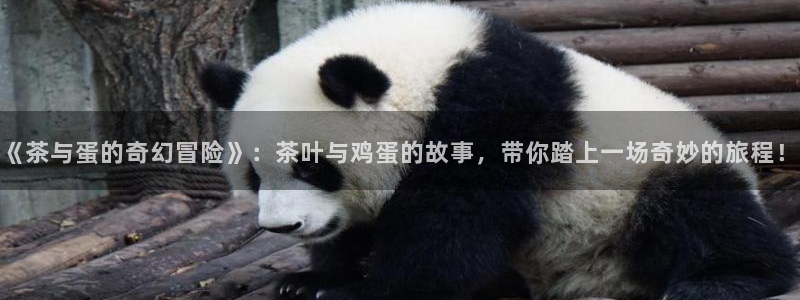 摩登7 lite