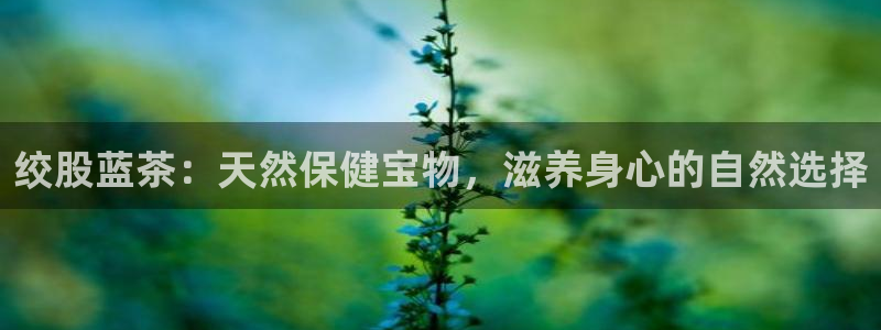 摩登3月7O667