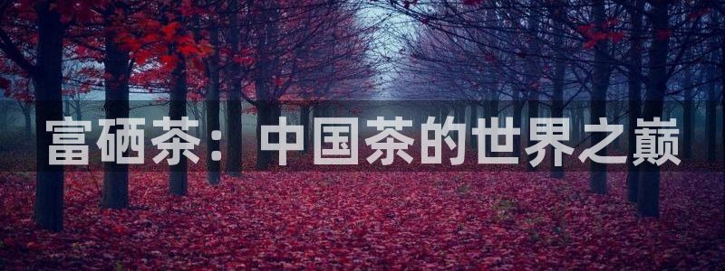 摩登7后
