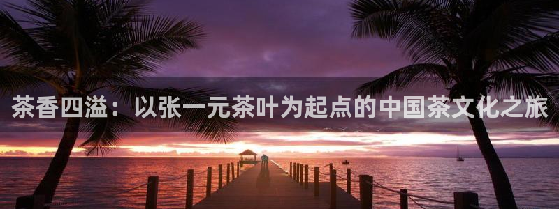 摩登7属于什么平台