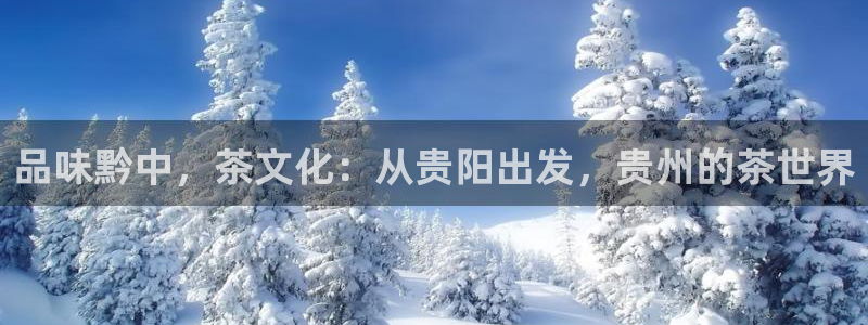 摩登7平台信誉