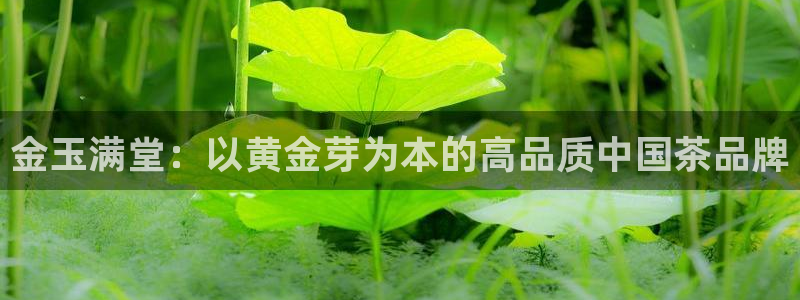摩登3下7O667