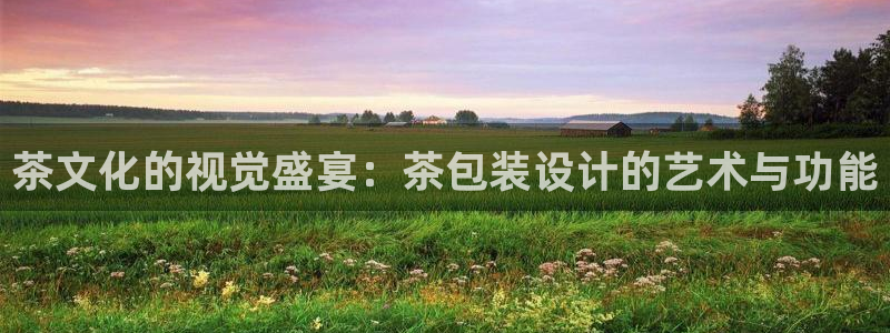 摩登5天7O667