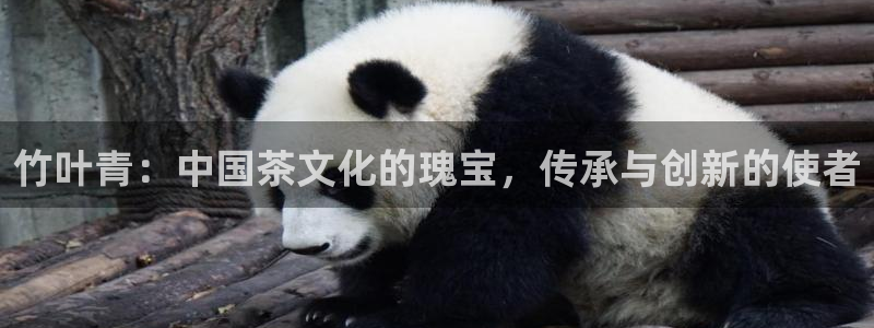 摩登7招商主管