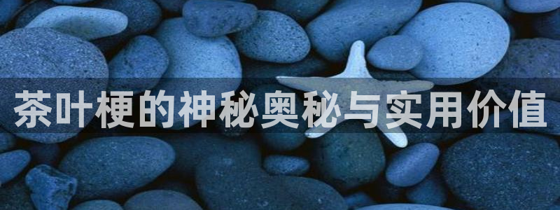 摩登7关