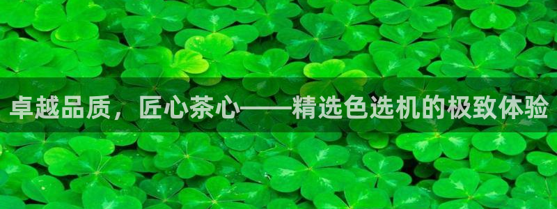 摩登4左7O667