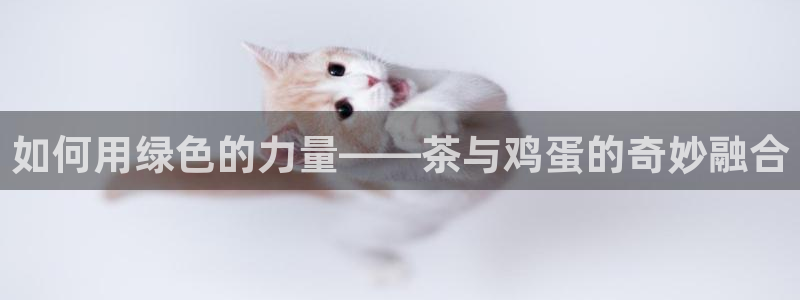 摩登7平台信誉