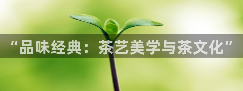 摩登7平台app