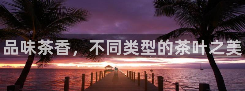 摩登7官网的详细介绍