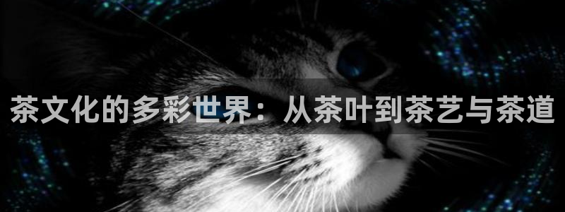 摩登7 1 1