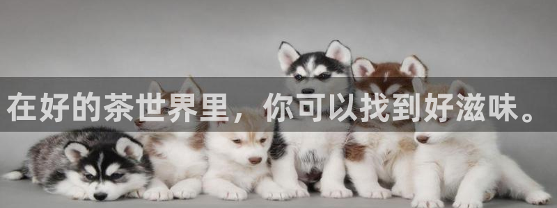 摩登7招商排名