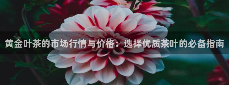 摩登2 7