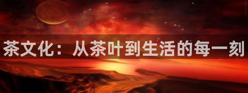 摩登7招商排名