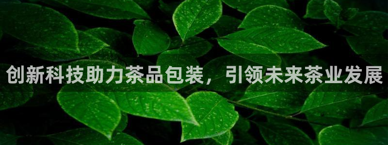 摩登7登陆