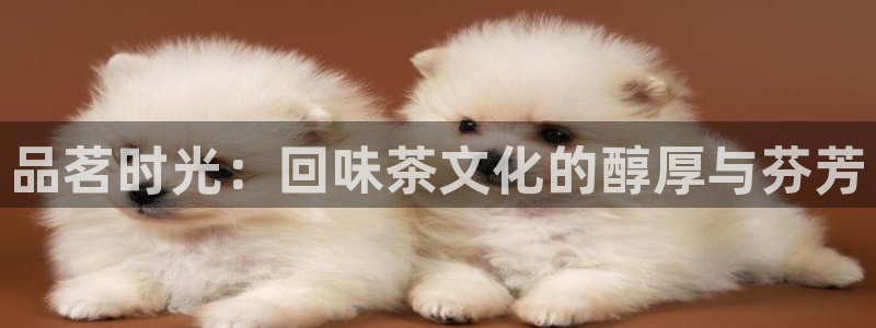 摩登7级
