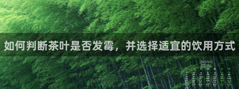 华彩7级摩登