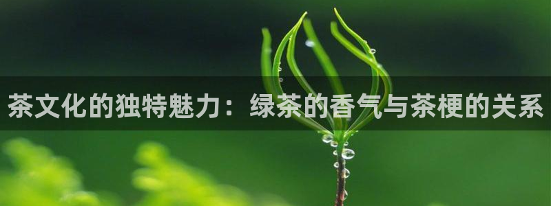 摩登乐园7