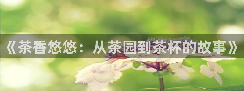 摩登7 平台