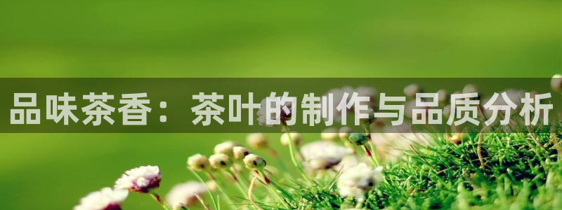 摩登7招商主管