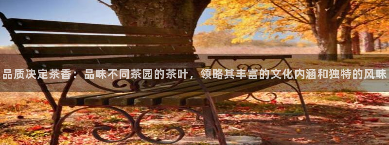 摩登7来宾