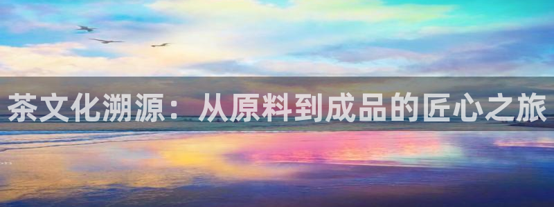 华彩7级摩登