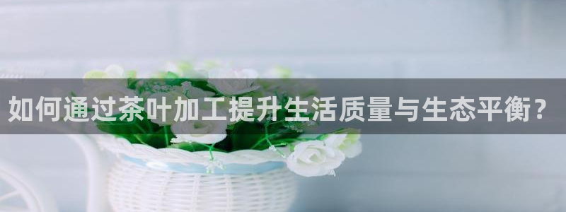 摩登3来找7O667