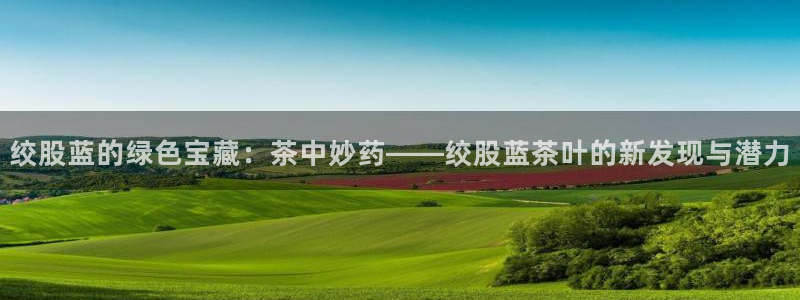 摩登7股东