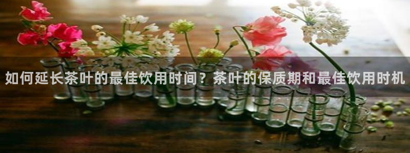 摩登口碑7