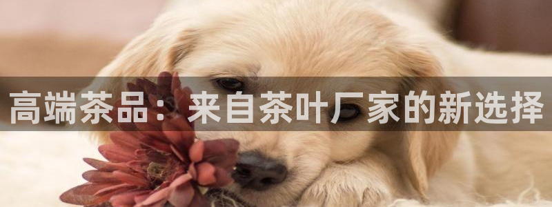 摩登7系列