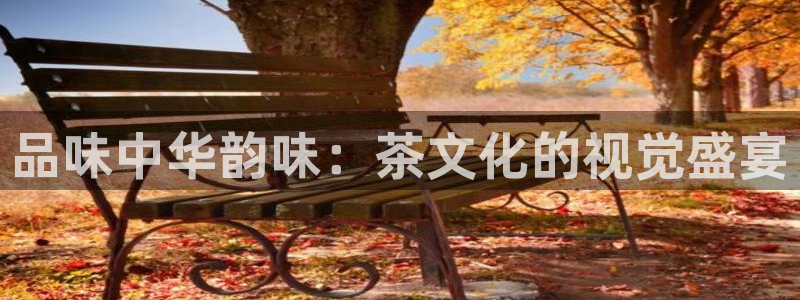 摩登4下7O667