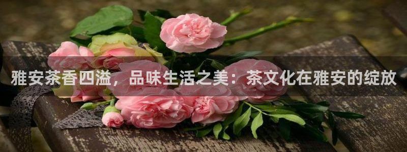 摩登5施7O667