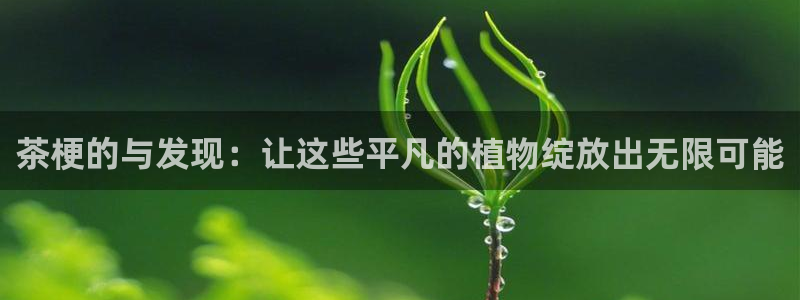摩登6张7O667
