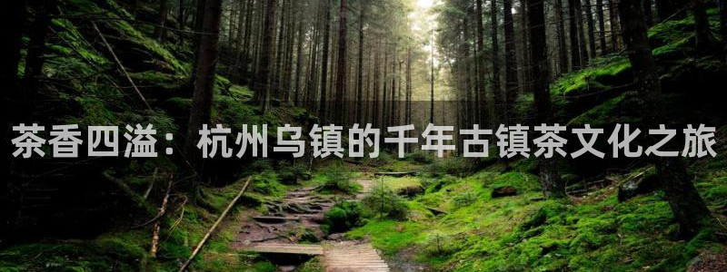 精品摩登7