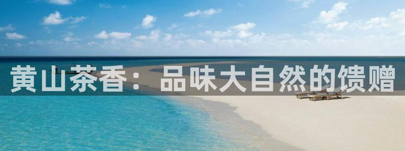 摩登7口碑
